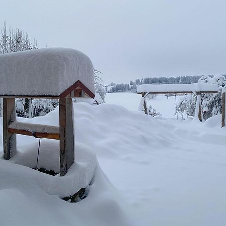 Trollenhof Im Allgaeu - Ferienwohnungen Saeuling Ruckholz Exterior foto