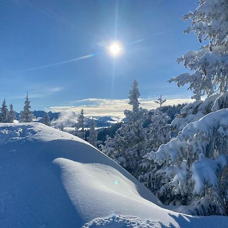 Trollenhof Im Allgaeu - Ferienwohnungen Saeuling Ruckholz Exterior foto