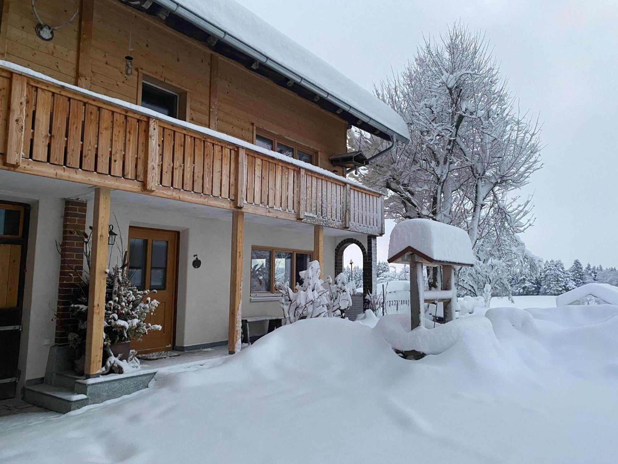 Trollenhof Im Allgaeu - Ferienwohnungen Saeuling Ruckholz Exterior foto