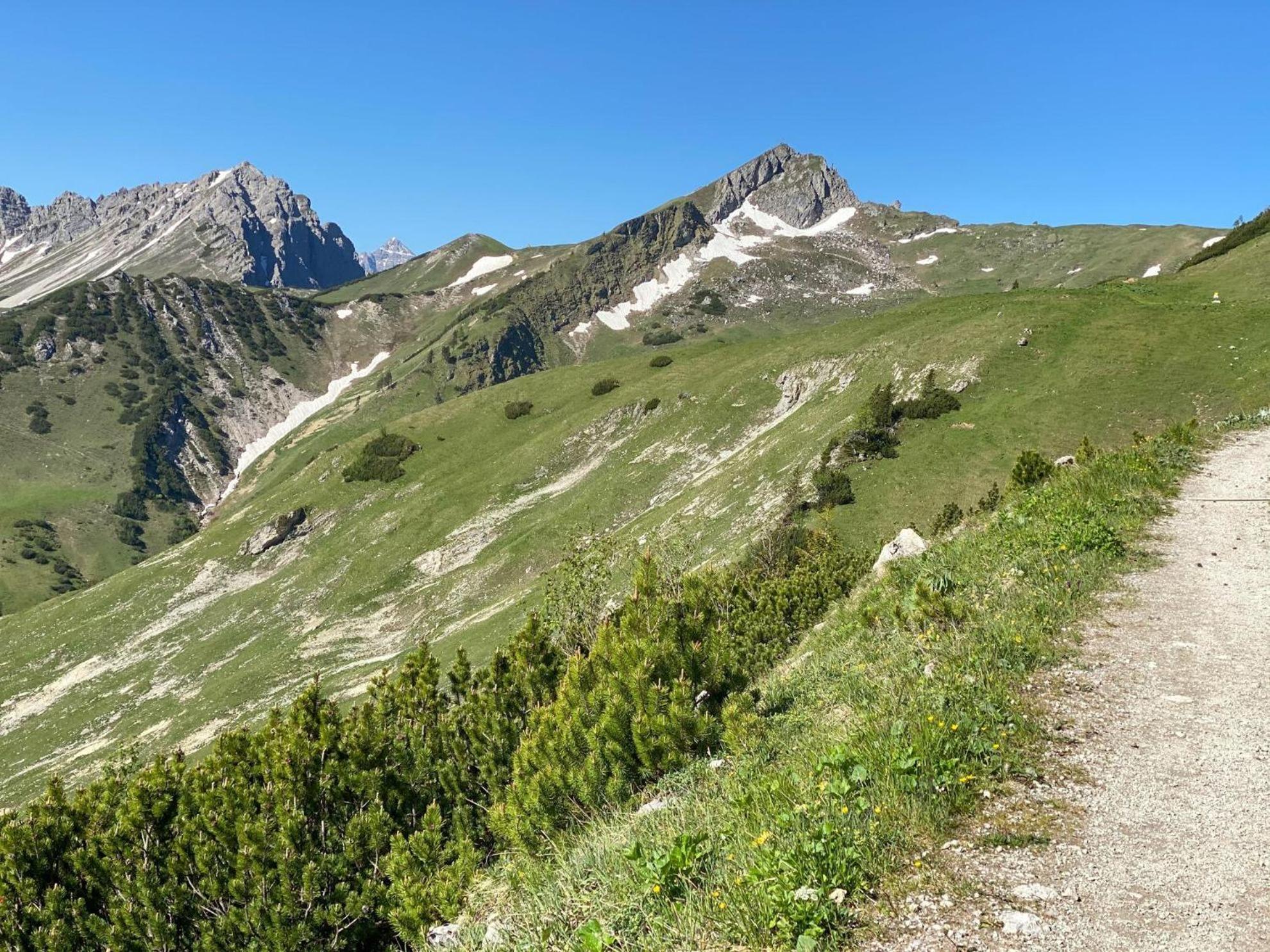 Trollenhof Im Allgaeu - Ferienwohnungen Saeuling Ruckholz Exterior foto